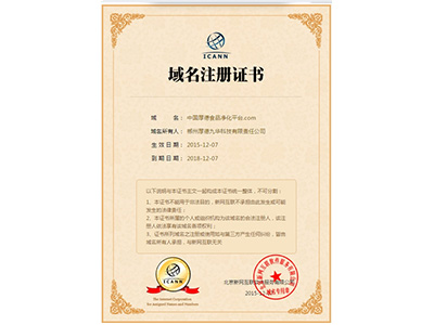 中文域名證書